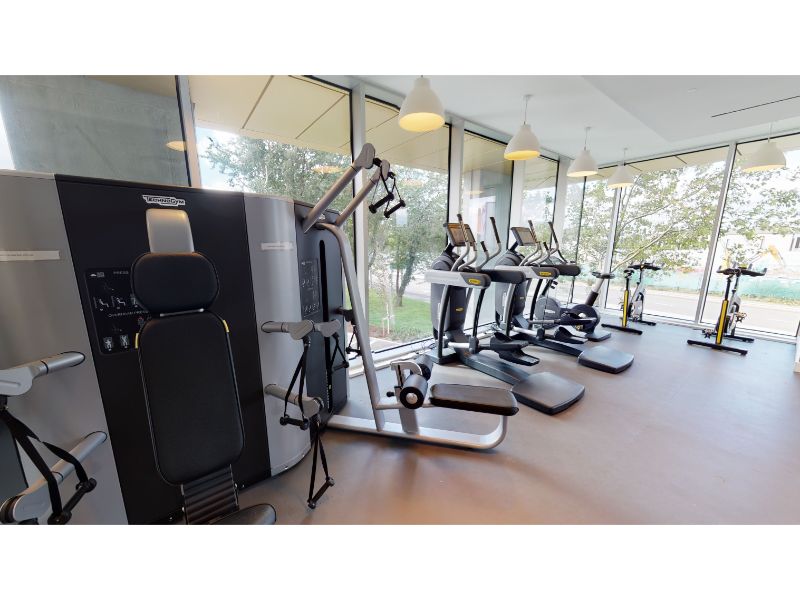 A Closer Look At Anaconda Cut Gym Area